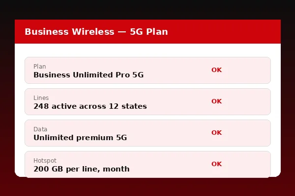 Verizon Business wireless plan management interface showing 248 active lines, data pooling and fleet usage breakdown